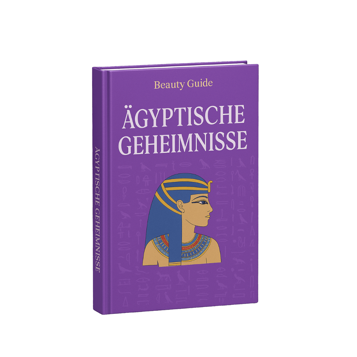 Ägyptische Geheimnisse E-Book