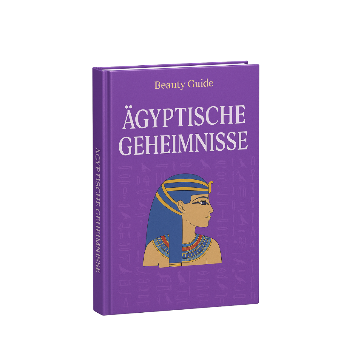 Ägyptische Geheimnisse E-Book